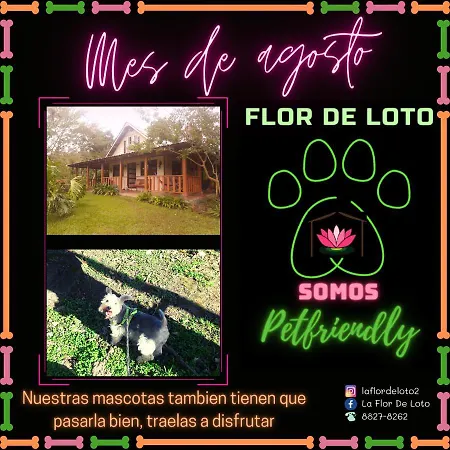 La Flor De Loto Villa Cartago Exterior photo